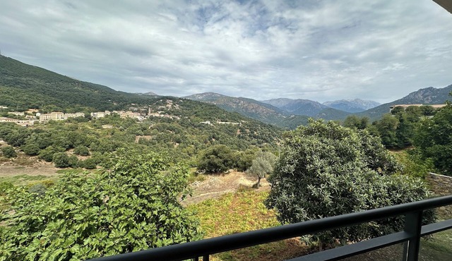 Apartment close to the river and the beach!