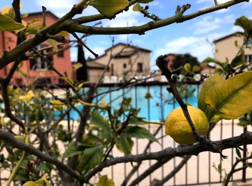 Appartement Dolce Farniente Corse Lozari
