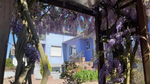 Appartement entier, calme, confortable et spacieux