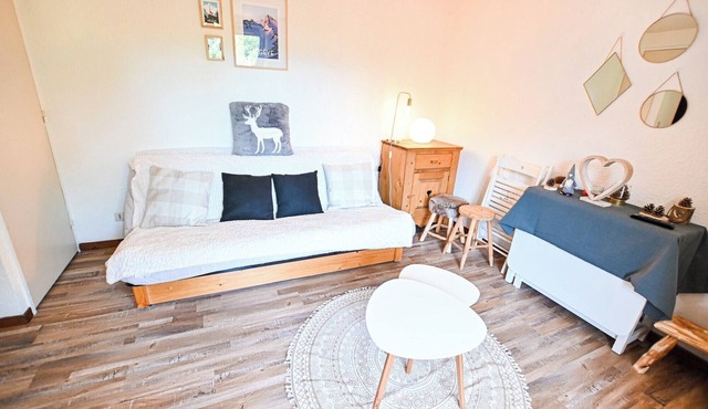 Apt or chalet near the slopes Demi-Quartier