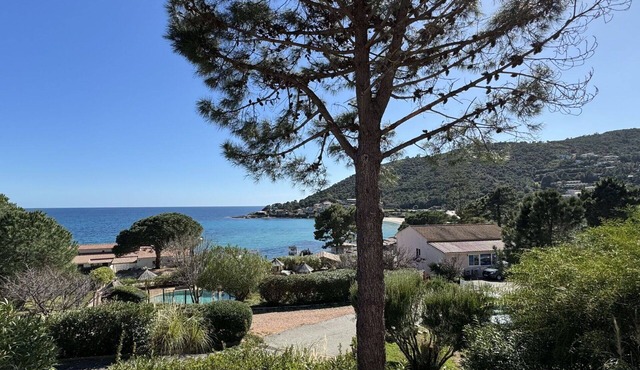 Beautiful apartment for 4 people with pool, A/C, WIFI, terrace and pets allowed