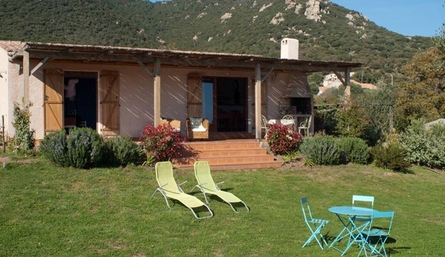 Broom - MONACIA D'AULLENE