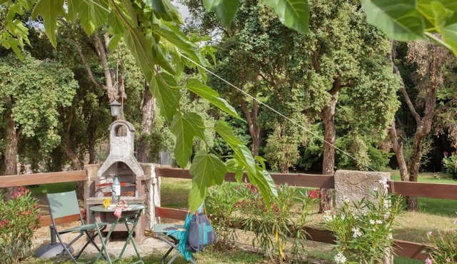 Casa Noel