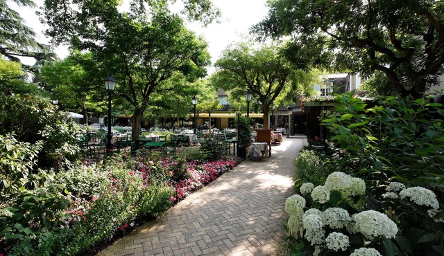 CAZAUDEHORE Hôtel Restaurant Gastronomique Terrasse et Jardins