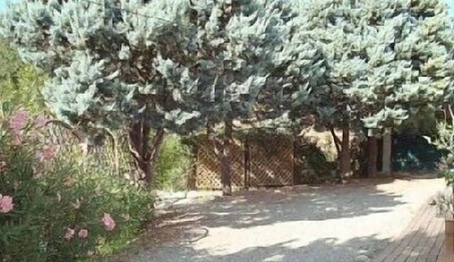 Charming studio in Corte for 2 People
