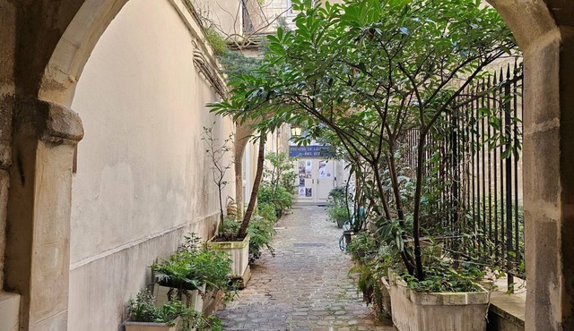 Charming studio on the Ile Saint Louis - Rented under a mobility lease or civil code lease