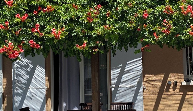 Comfortable Modern Villa, perfect for families! Hourtin Ville, Medoc, Gironde.