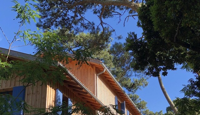 Comfortable wooden house sleeps 8 Plage des Américains Cap Ferret