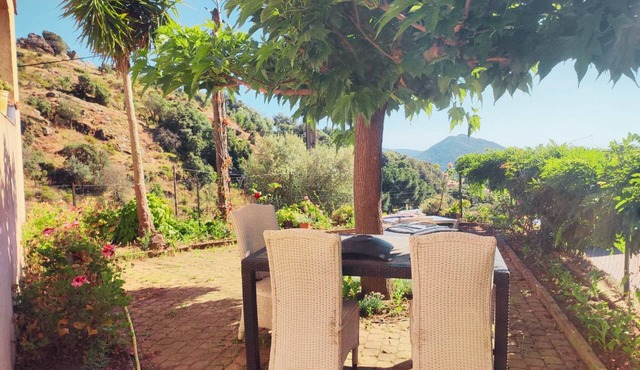 Cosy Studio between Ajaccio and Bonifacio - Ideal for Solos & Couples - Close to the Spa