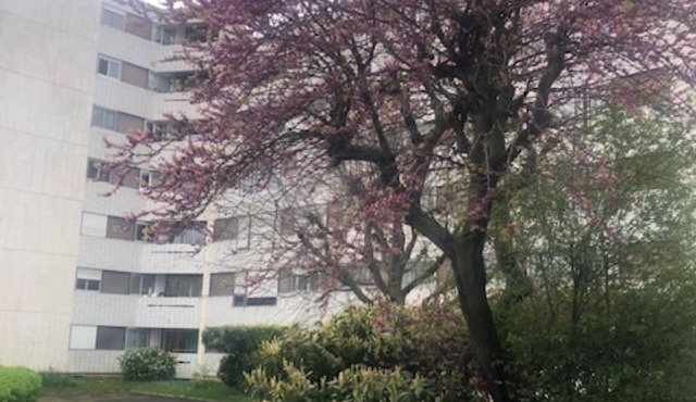 Dans la Verdure, au Calme Près de Paris