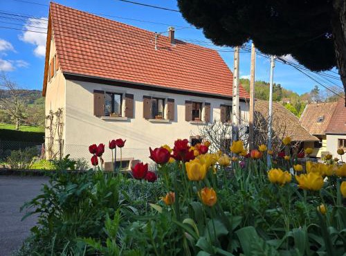 Echappée Verte