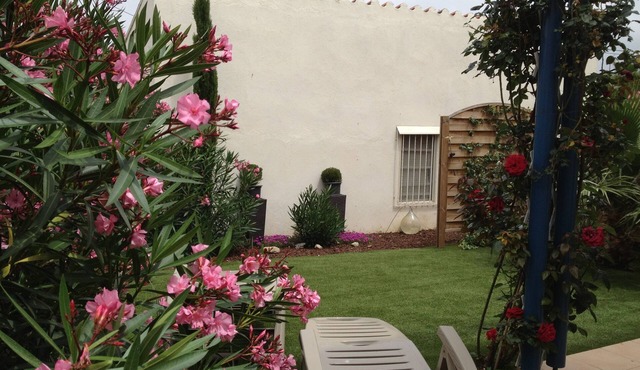 Ensolellée house with garden. Deco. Contemporary and neat.