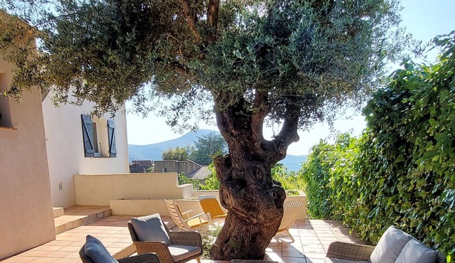 Family home near corsica's most beautiful villages and 10 minutes from the sea