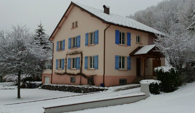 GITE DES FLOCONS A LA BRESSE UP TO 12 PEOPLE
