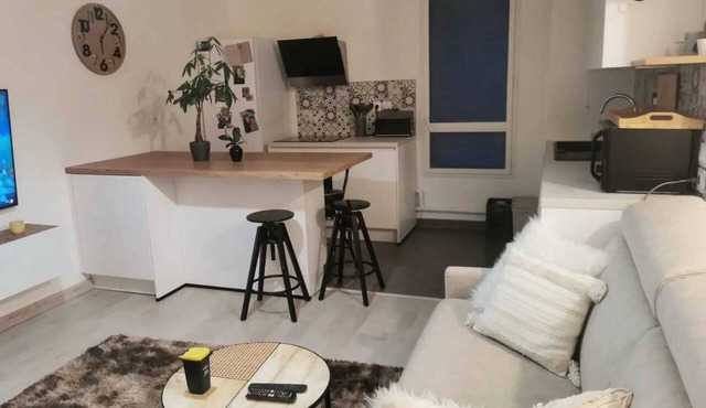 Homerez - Apt Viroflay park. ter.
