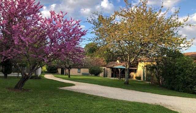 In a green setting, pretty farm (producing walnuts and strawberries), swimming pool