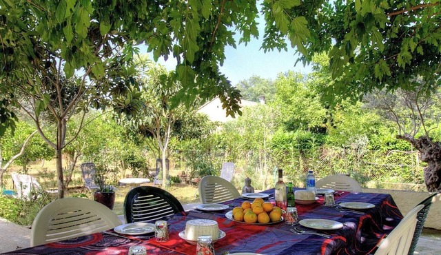 Le 55742 - LUCCIANA - Gîte