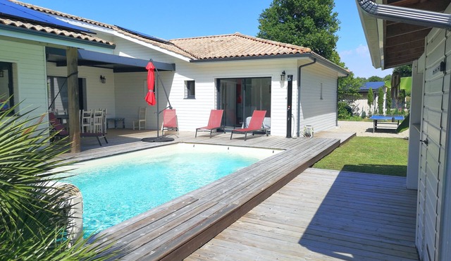 Modern wooden villa with swimming pool