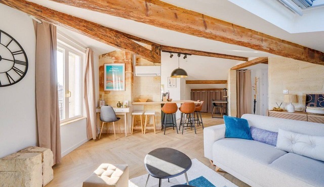 Nice renovated apartment Bordeaux