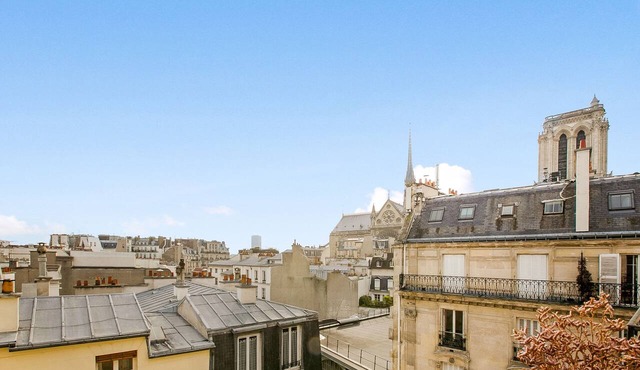 Notre-Dame Panorama — Stay in the Very Heart of Paris