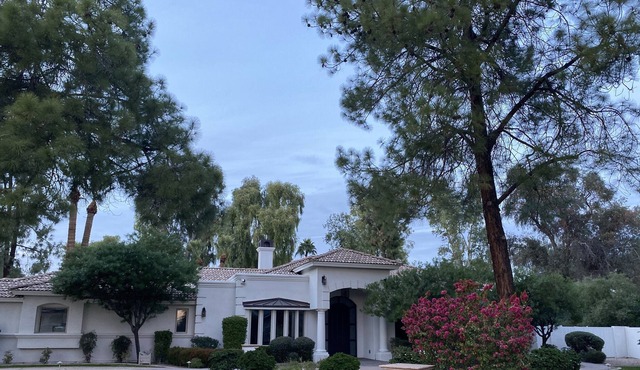 Oasis in Central Scottsdale