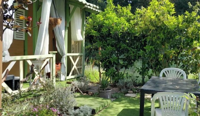 Pleasant, flower-filled bungalow next to a large sandy beach