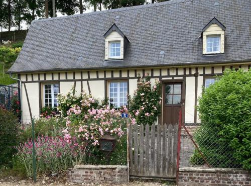Rose des prés