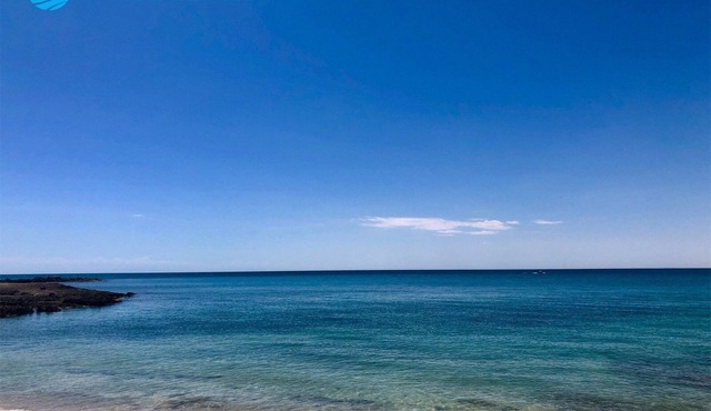 Shark Studio in Cholla Bay (1Bedroom-1Bathroom) By FMI Rentals