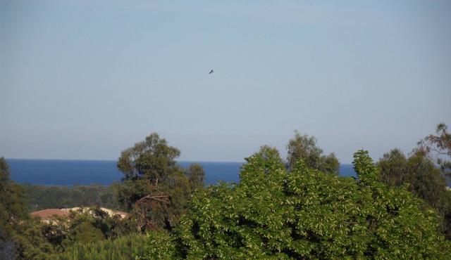 Spacious ground floor of a villa with shaded terraces, quiet, close to the beaches