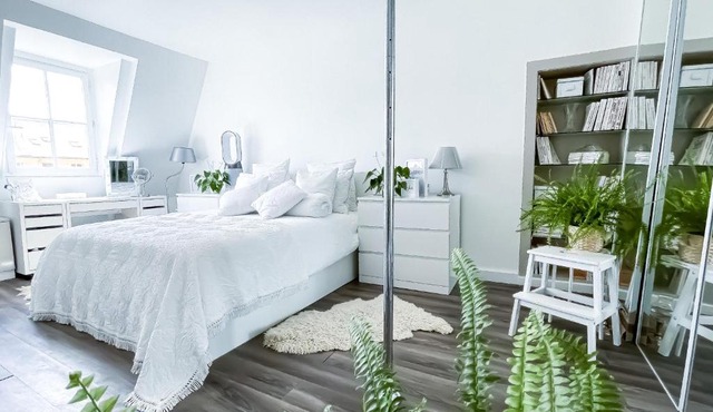 Superbe Appartement Loft à Versailles