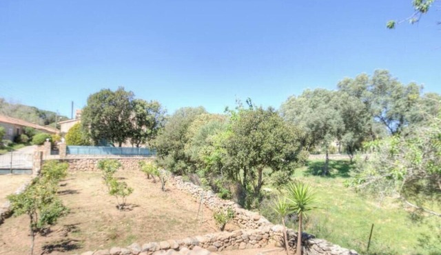 The orange tree villa