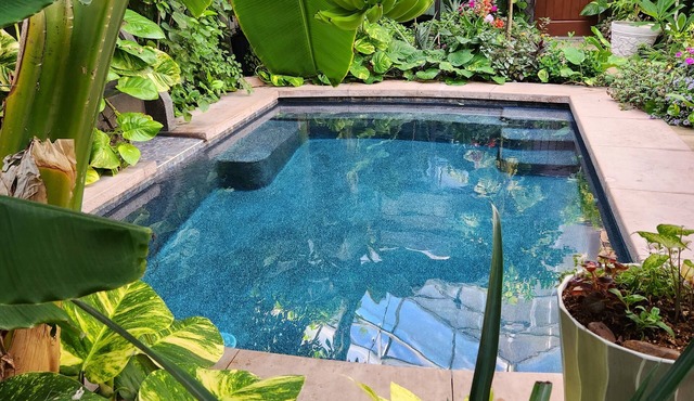 Tropical Secret Garden with heated pool