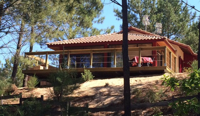 Vacation home under the pines