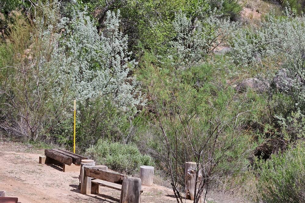 Photo of Outdoor in La Verkin