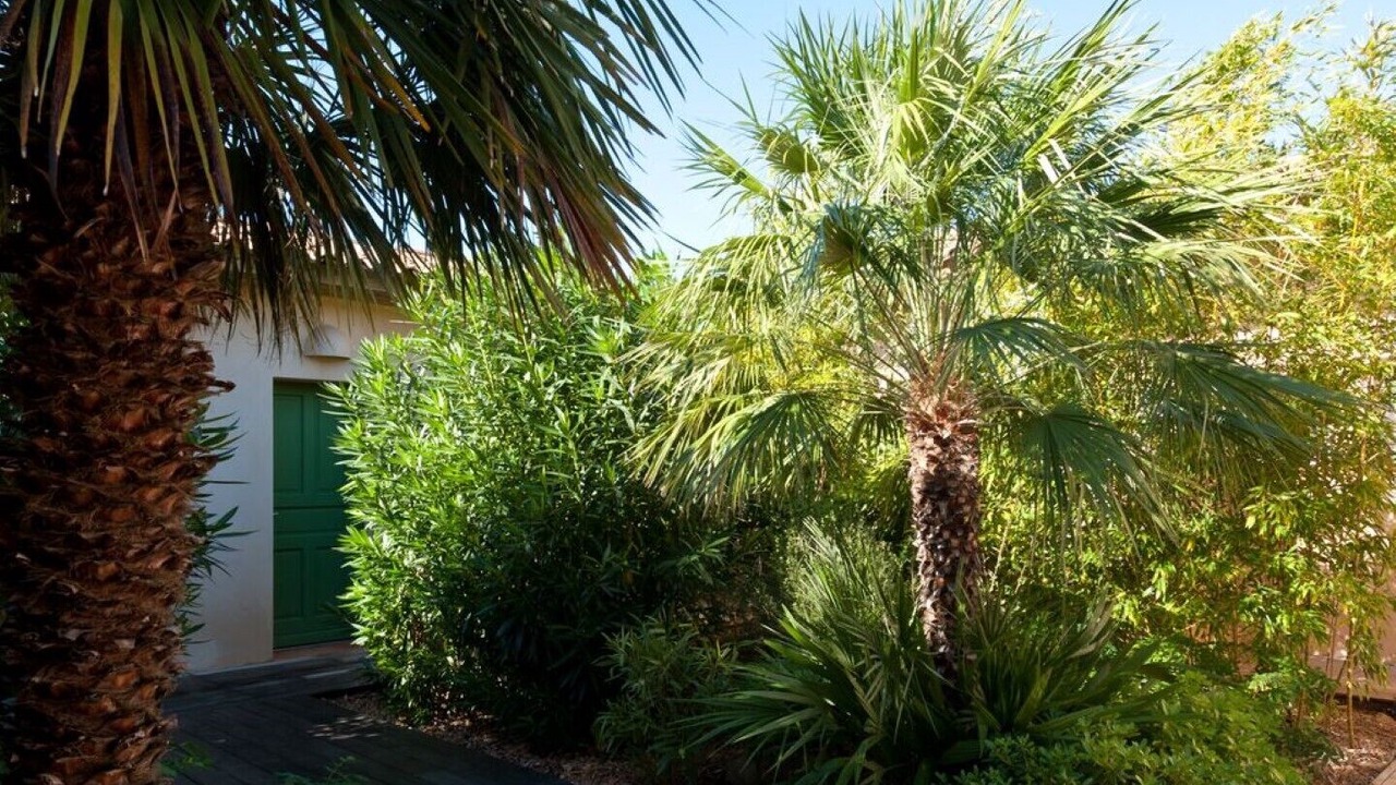 Photo of Outdoor in Lecci