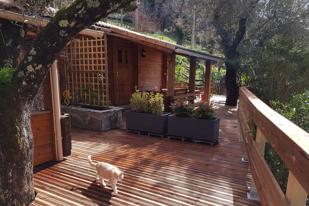 Photo of Patio Balcony in Olmiccia