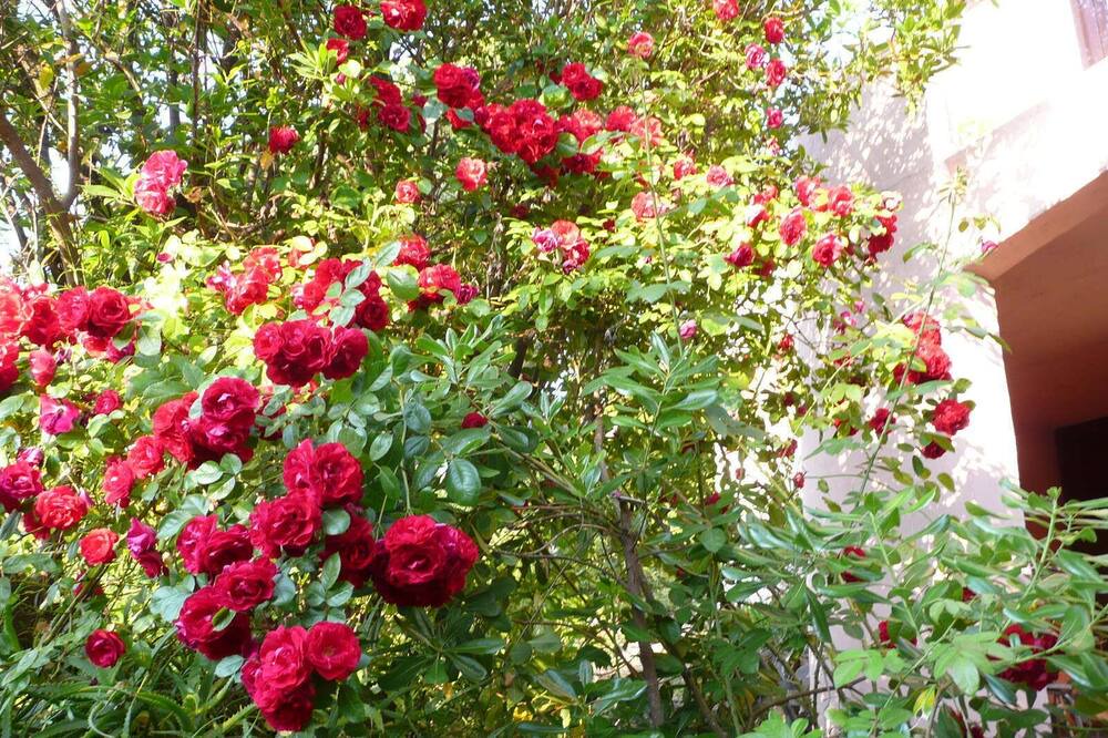 Photo of Outdoor in Grosseto-Prugna