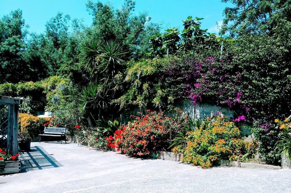 Photo of Outdoor in Furiani