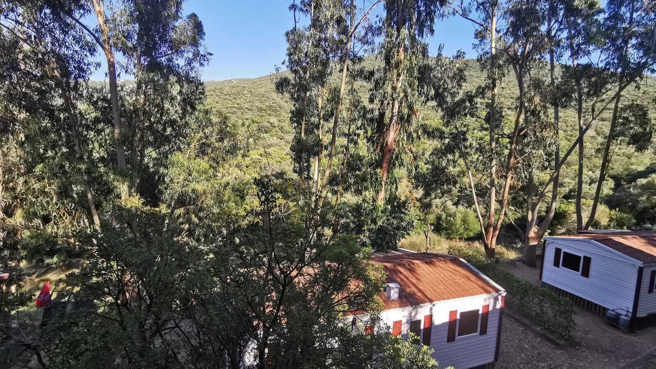 Photo of Outdoor in Belvedere-Campomoro