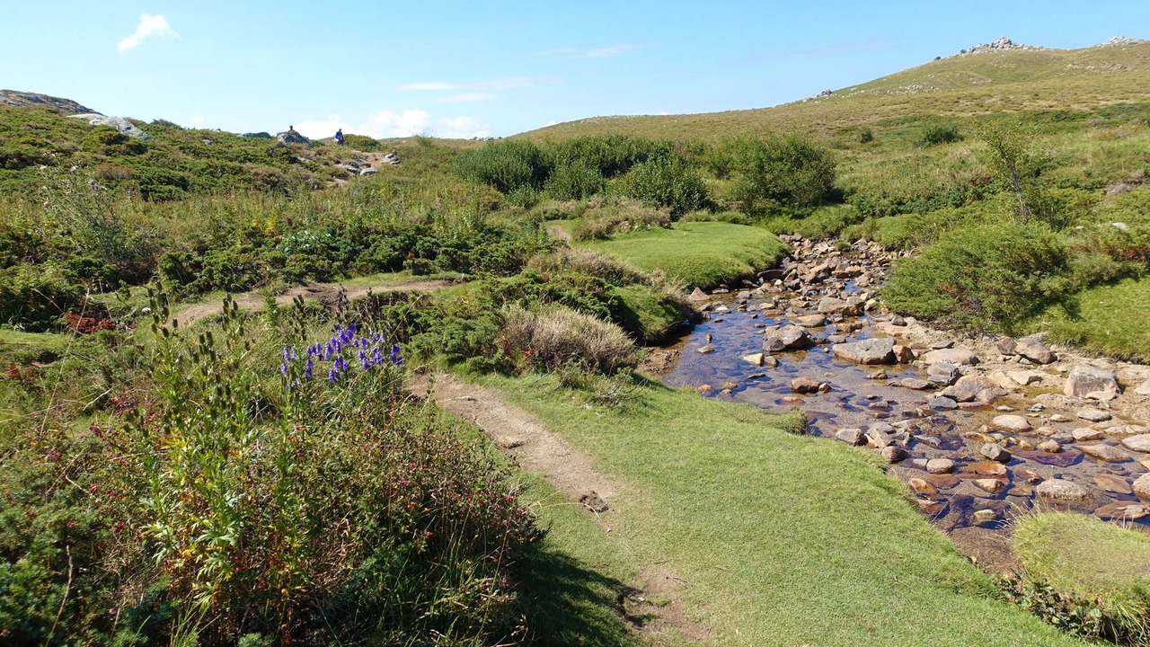 Photo of Outdoor in Sainte-Lucie-de-Tallano
