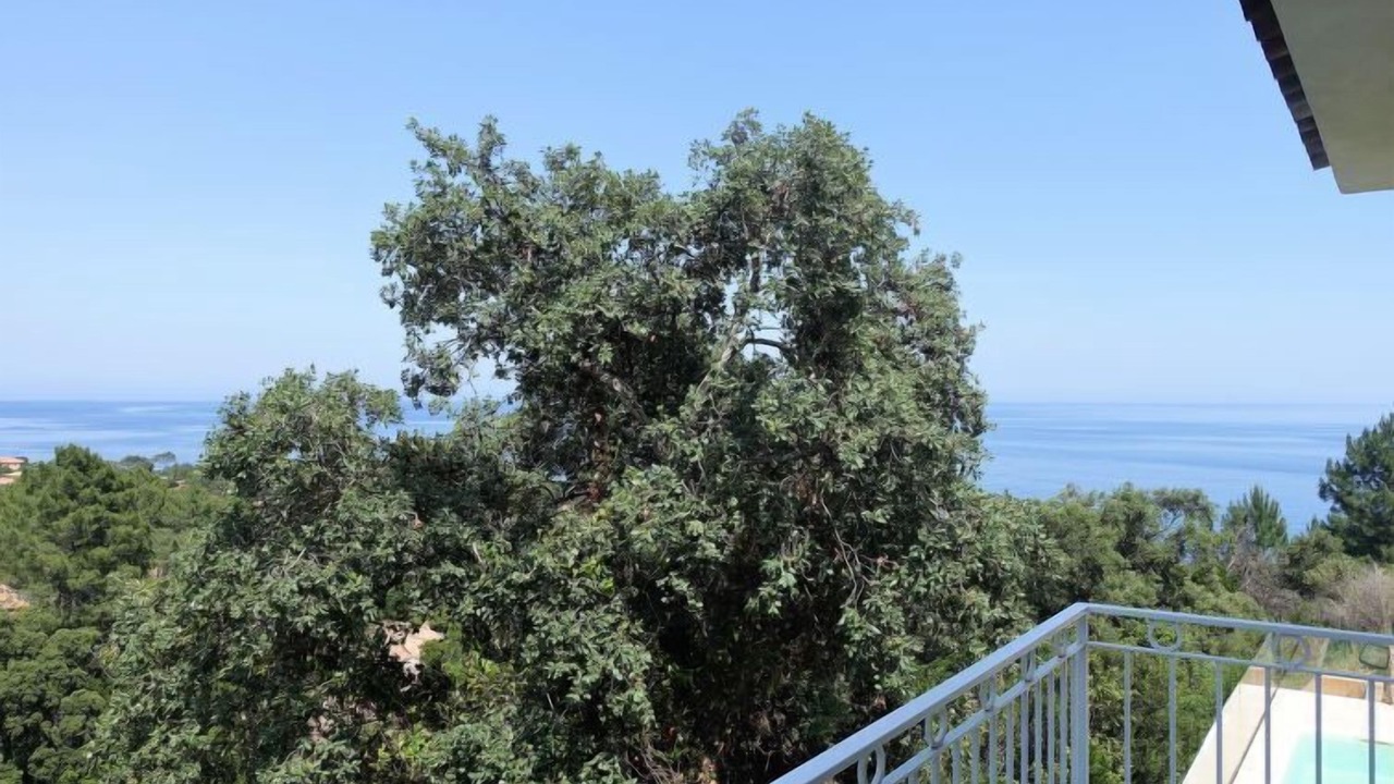 Photo of Others in Favone