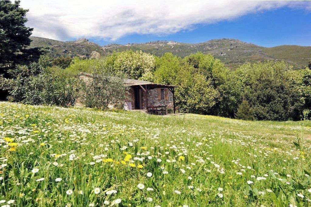 Photo of Outdoor in Sisco