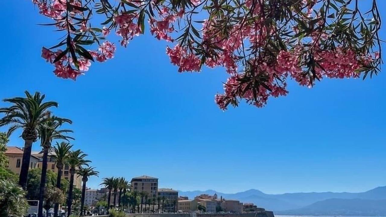 Photo of Others in Grosseto-Prugna