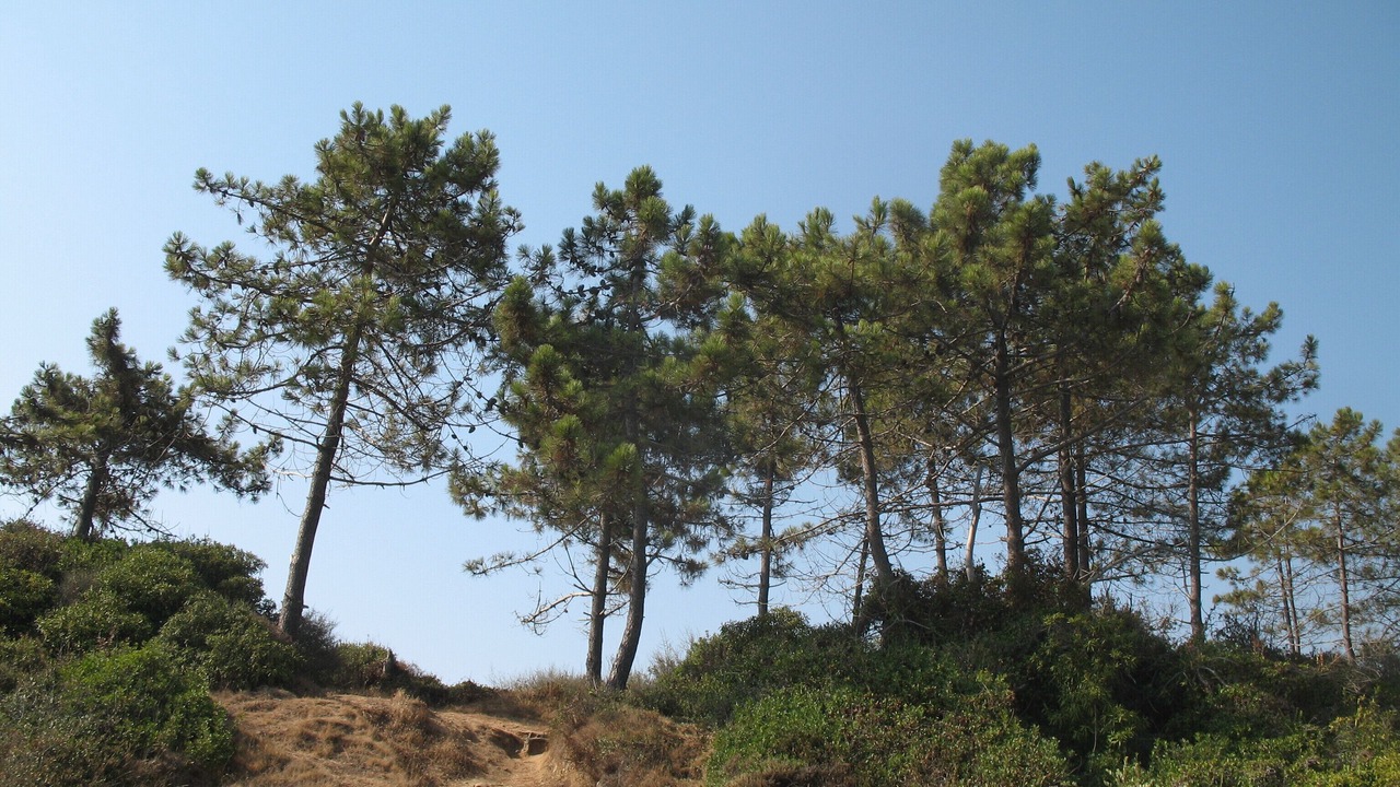 Photo of Outdoor in Bravone