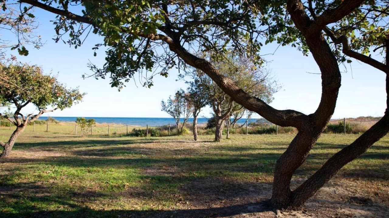 Photo of Others in Moriani-Plage