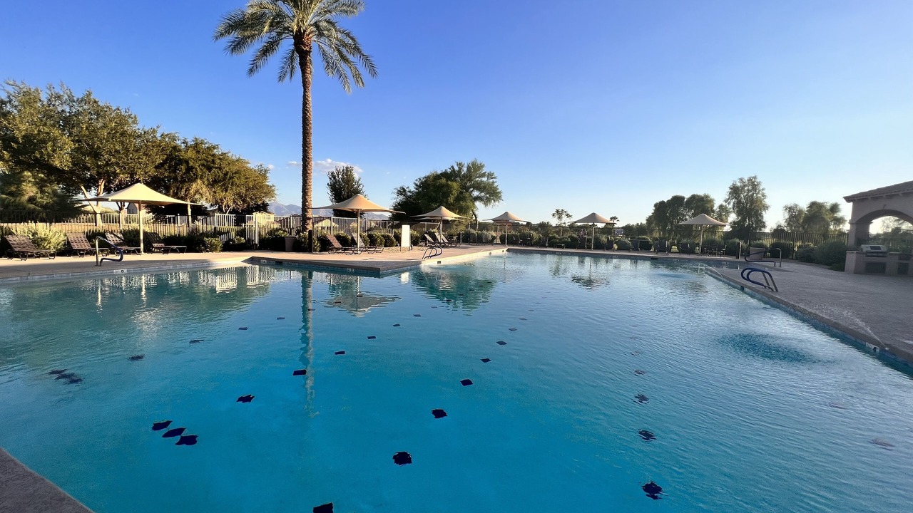 Photo of Outdoor in Palm Valley