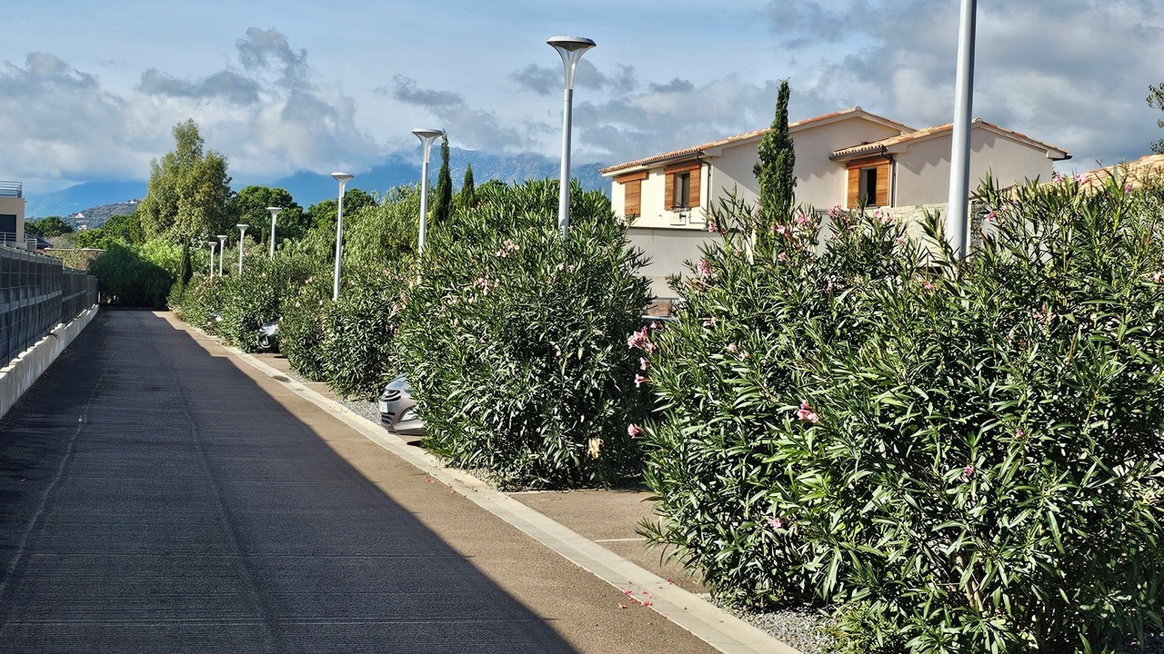 Photo of Outdoor in Cala Rossa