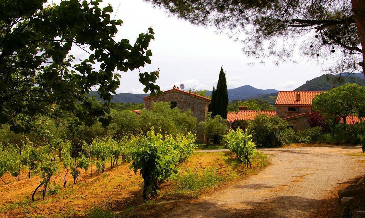 Photo of Outdoor in Sartene