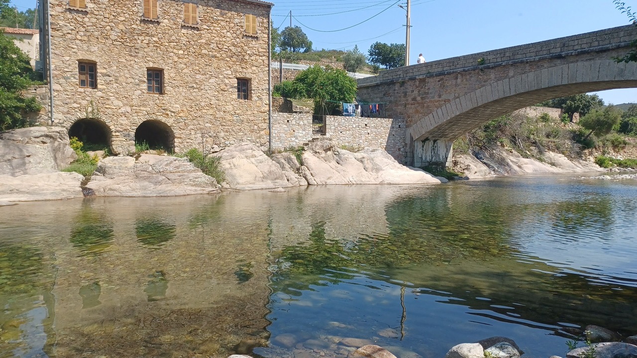 Photo of Others in Moltifao