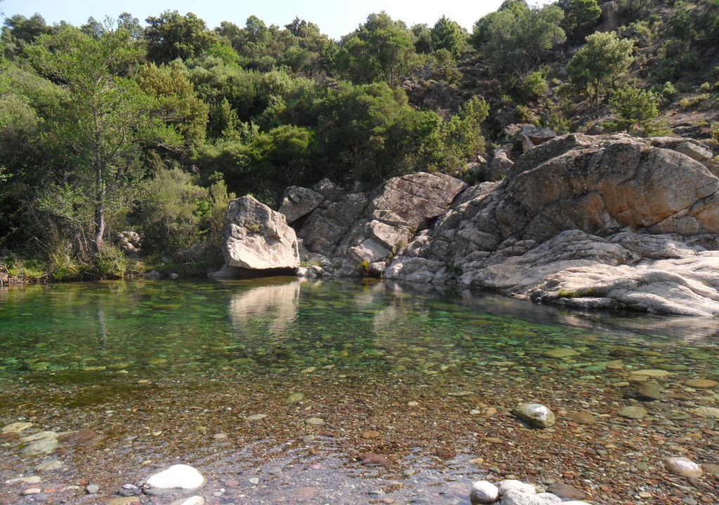 Photo of Others in Moltifao
